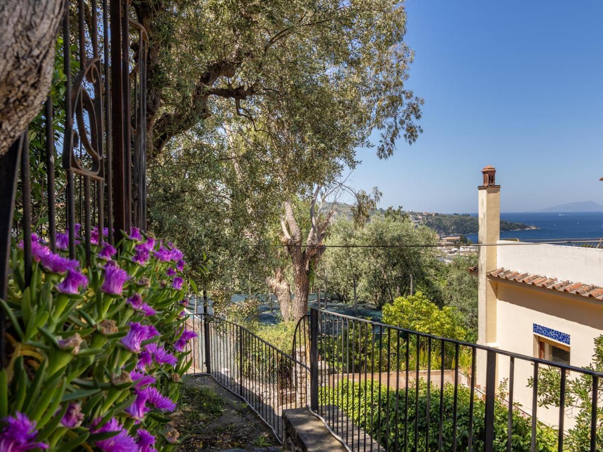 Villa Ulivi Apt Sorrent Exterior foto