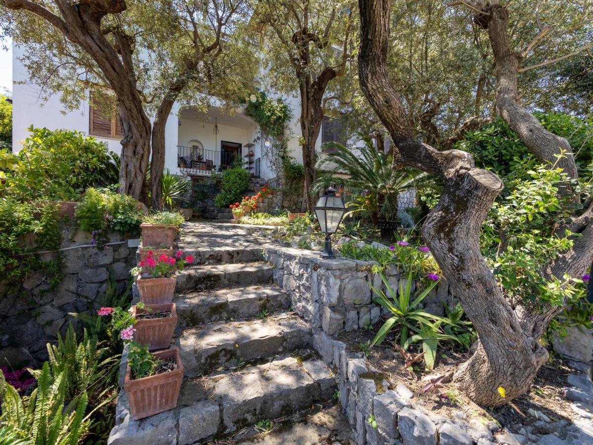 Villa Ulivi Apt Sorrent Exterior foto